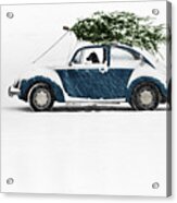 Dog In Car With Christmas Tree Acrylic Print