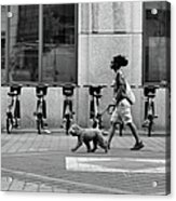 Dog Walker Acrylic Print