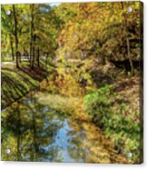 Dogwood Creek Autumn Reflections Vertical Acrylic Print
