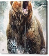 Don't Mess With The Bear Acrylic Print