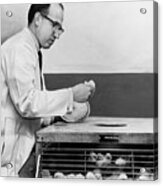 Dr. Jonas Salk At Work Acrylic Print