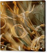 Dreamy Dried Leaves Acrylic Print