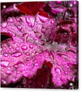 Drenched In Spring Acrylic Print