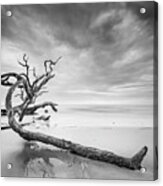 Driftwood In Black And White Acrylic Print