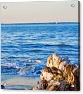 Driftwood On A Beach Acrylic Print