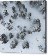 Drone Aerial Scenery Of Mountain Snowy Forest And People Playing In Snow. Wintertime Season Acrylic Print