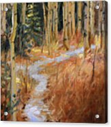 Dusting On The Trail Acrylic Print