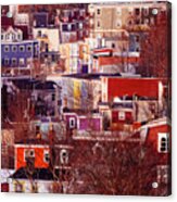Early Morning In St John's - Red Acrylic Print