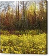Early Morning Meeting Oil Painting Panorama Acrylic Print