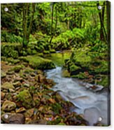 Early Morning On Rocky Fork Acrylic Print