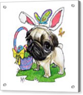 Easter Bunny Pug Acrylic Print