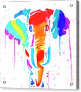 Elephant Drip Art Acrylic Print