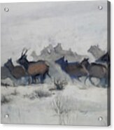 Elk Migration, 2019 Acrylic Print