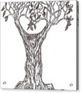 Emergent Tree Acrylic Print
