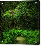 Enchanted Forest At Roan Mountain Acrylic Print