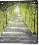 Enchanted Forest Acrylic Print