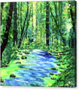 Enchanting Woodland Acrylic Print