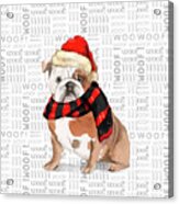English Bulldog Christmas Dog Acrylic Print
