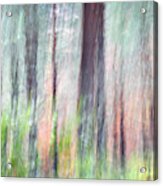 Ephemeral Forest In Fall Acrylic Print