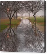 Evening Rain Acrylic Print