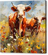 Texas Longhorns In A Field Of Wildflowers Acrylic Print