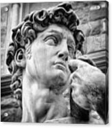Face Detail Of David By Michelangelo Florence Black And White Acrylic Print