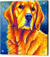 Faithful Friend - Colorful Golden Retriever Dog Acrylic Print