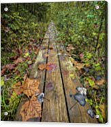 Fall Boardwalk Two Acrylic Print