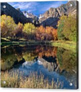 Fall Color And Reflection Below Middle Palisades Glacier California Acrylic Print