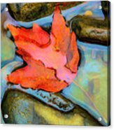 Fall Float Painting Acrylic Print
