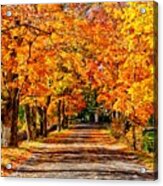 Fall In New England Acrylic Print