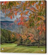 Fall In The Cove, Stylized Acrylic Print