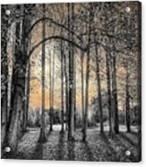 Fall In The Moonlit Park Black And White Acrylic Print