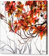 Fall Leaves - Watercolor Art Acrylic Print