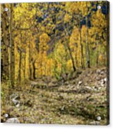 Fall Mountain Road Acrylic Print