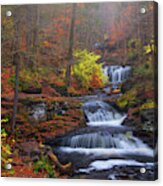 Fall Romance Acrylic Print