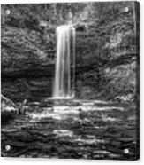 Falling Into Autumn Pools In Black And White Acrylic Print