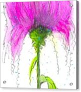 Fancy Flower Acrylic Print