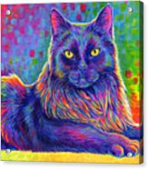 Psychedelic Rainbow Black Cat - Felix Acrylic Print