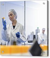 Female Worker Inspecting Packs Of Tablets In Pharmaceutical Factory Acrylic Print