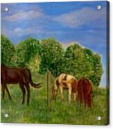 Field Of Horses' Dreams Acrylic Print