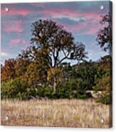 Fiery Sunset Colors Over A Prairie In Canyon Lake - Comal County Texas Hill Country Acrylic Print