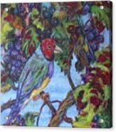 Finch In Purple Acrylic Print