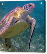 Fine Art Of Surfacing Acrylic Print