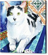 Fip Warrior Maximillion Cat Painting Acrylic Print