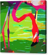 Flamingo Art Acrylic Print