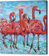 Flamingos Parade Acrylic Print