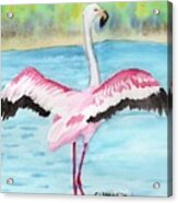 Flapping Flamingo Acrylic Print