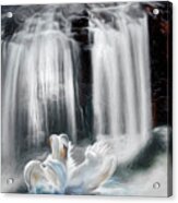 Floating In Sunlight Under The Falls Painting Acrylic Print