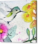 Floaty Hummingbird 3 Acrylic Print